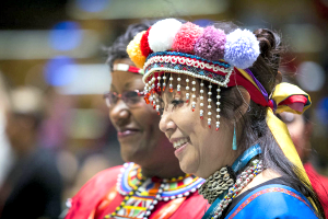Participants and the 2016 session of the United Nations Permanent Forum on Indigenous Issues. Credit: UN Photo/Manuel Elias