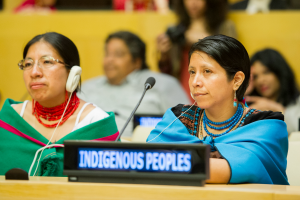 Participation of Indigenous Peoples at the UN 14-15 December 2016