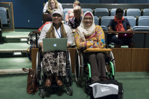 International Day of Persons with Disabilities (IDPD), 3 December 2017