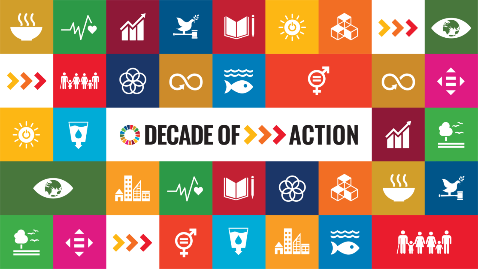 A Decade of Action to deliver the SDGs | DISD