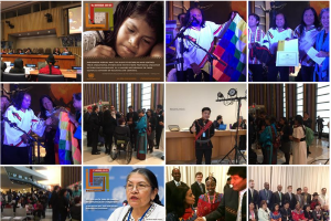 Indigenous Voices HLPF2017