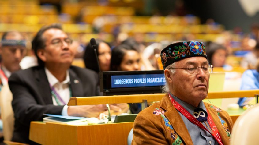 UNPFII 2020