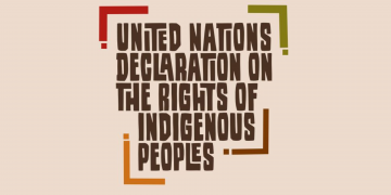 Statement by the Chairperson of the UN Permanent Forum on the 15th Anniversary of the UN Declaration on the Rights of Indigenous Peoples