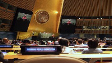 UNPFII Twenty-second Session: 17-28 April 2023