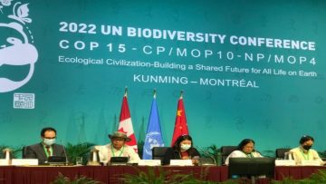 Statement of the Chairperson of the UNPFII at the Nature and Culture Summit, COP 15 – Montreal, Canada