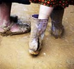 Making strides towards extreme poverty eradication