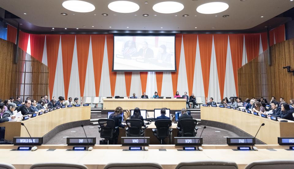 A wide view of the ECOSOC chamber. UN Photo/Rick Bajornas