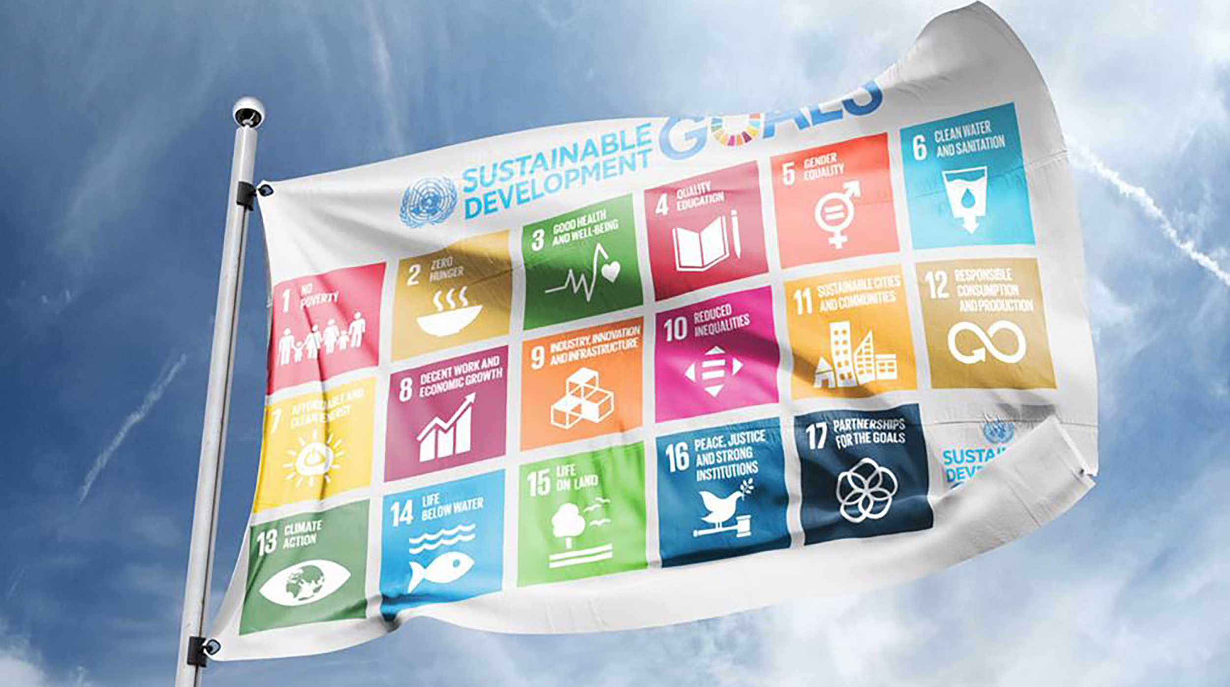 SDG flag