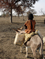 Misseriya-Tribe-Girl-Migrates-North-on-Donkey-UN-Photo-Tim-McKulla
