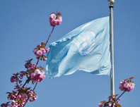 unhq