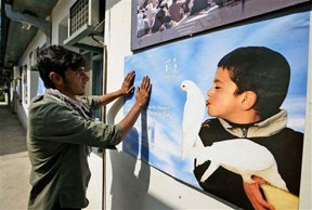 putting up peace day poster