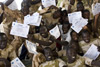 South Sudanese police officers celebrate after receiving their certificates for completing a training course run by the UN Police, 2008.  UN Photo/Paul Banks