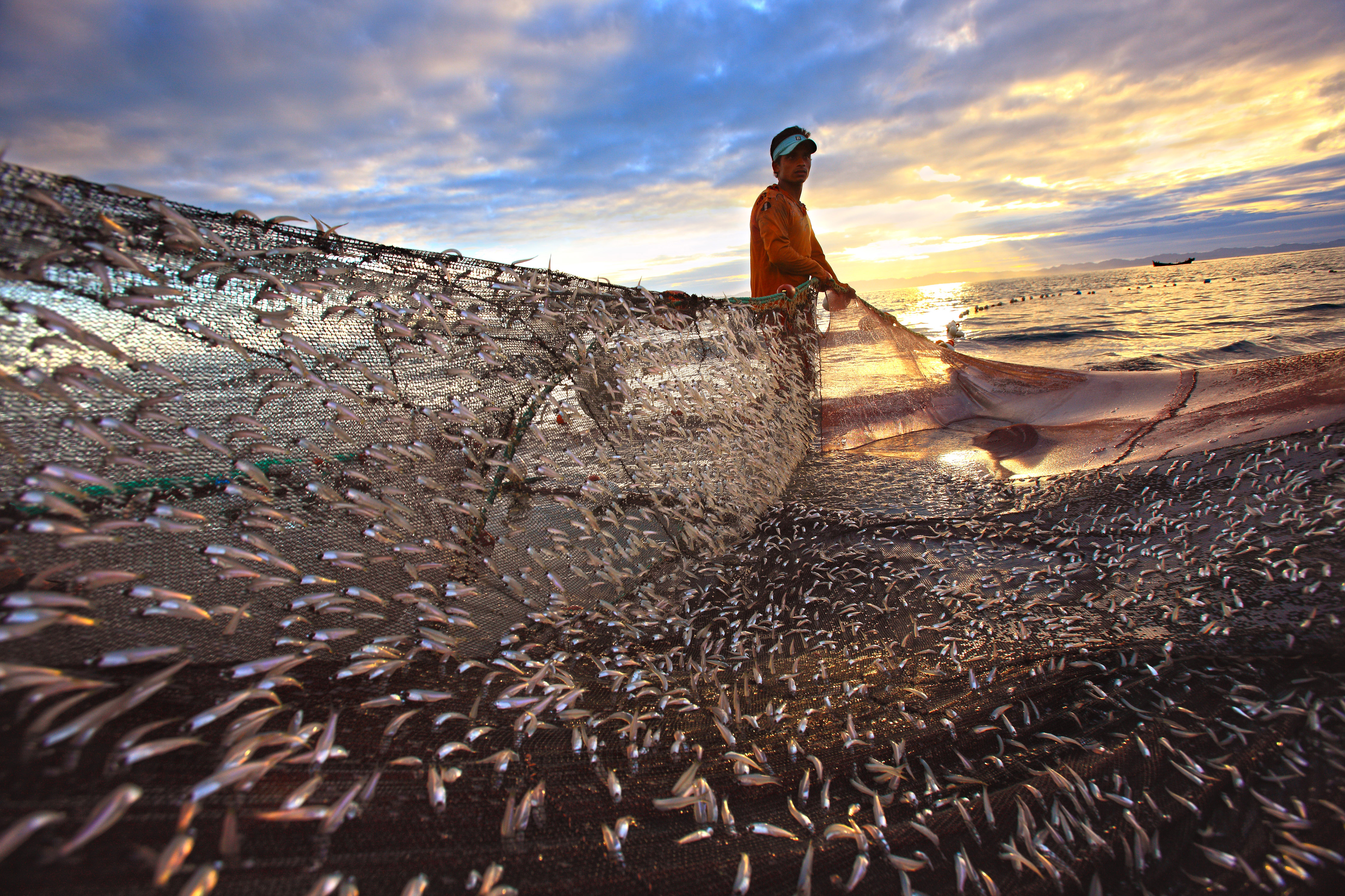 Un hombre arrastra una red de pesca en la playa.