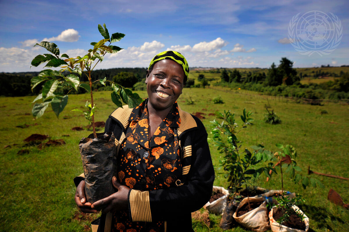 Una mujer sujeta un pequeño árbol listo para transplantar