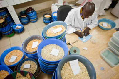 Los miembros se adhieren a los principios éticos de la honestidad, la transparencia, la responsabilidad social y el interés por los demás