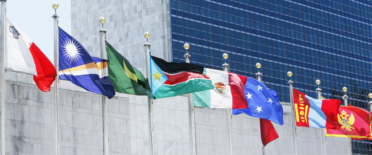 Banderas de los Estados Miembros ondean en la sede de la ONU, en Nueva York. 