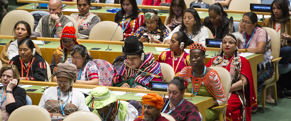 Decimoquinta sesión del Foro Permanente de las Naciones Unidas para las Cuestiones Indígenas.