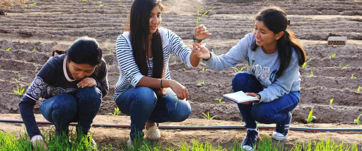 Estudiantes en prÃ¡cticas de la Universidad Agraria La Molina en el campo de agrometeorologÃ­a, en Lima (PerÃº). 