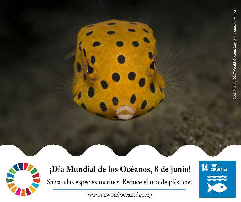 Tarjeta del Día Mundial de los Océanos.