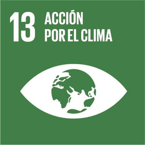 Logo del Objetivo de Desarrollo Sostenible 13