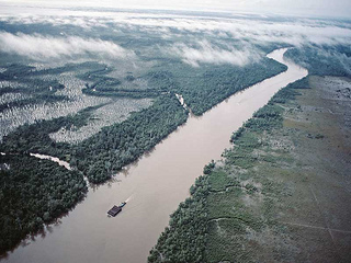 vista aérea de uno de los afluentes del río Níger