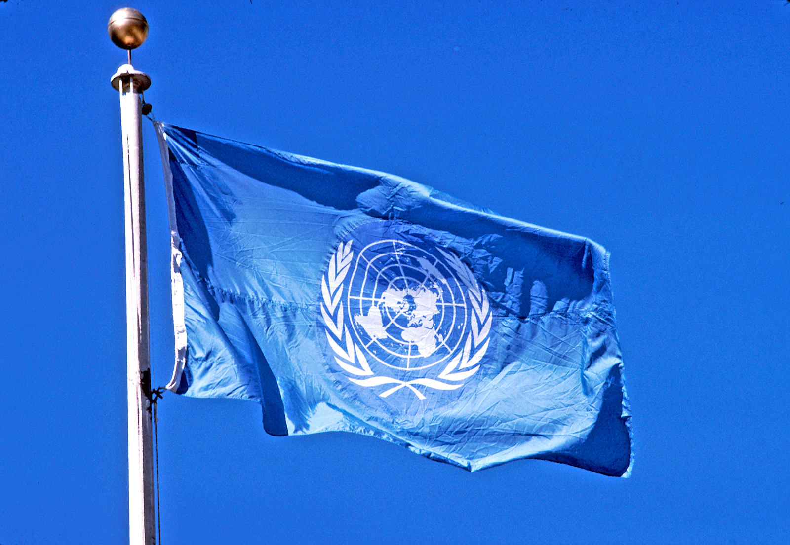 Foto de la bandera de las Naciones Unidas.