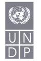 Logo del Programa de las Naciones Unidas para el Desarrollo (PNUD) 