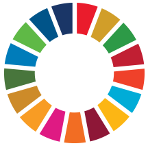 SDG logo