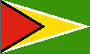 Guyana flag