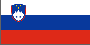 Slovenia flag