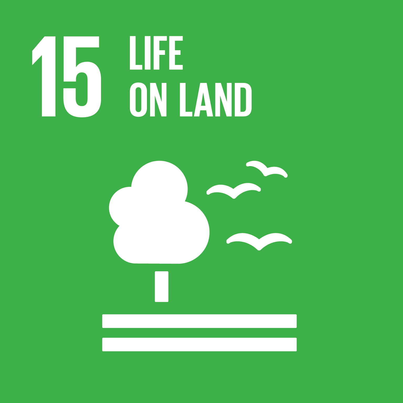 Resultado de imagem para sustainable development goals life on land