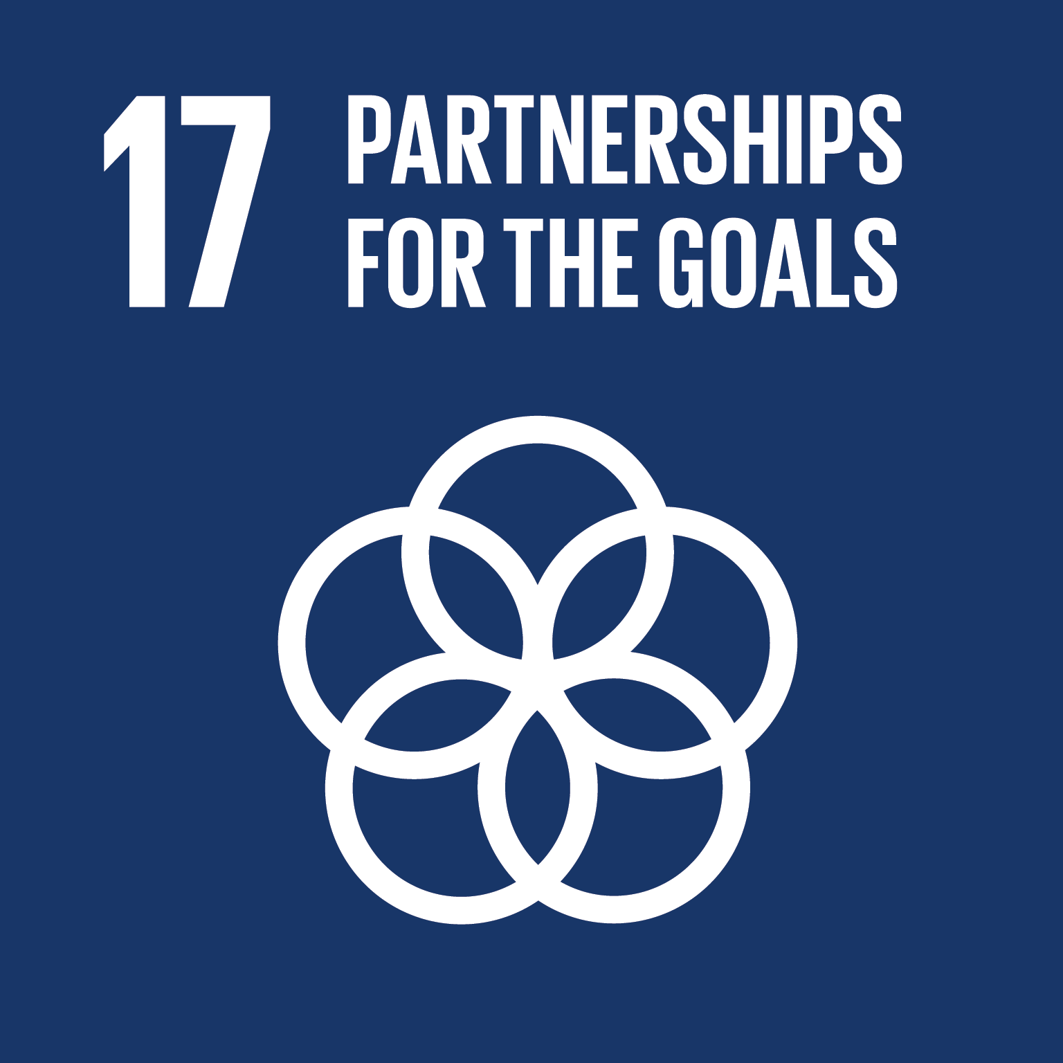 Goal 17:Partnerships for the Goals - United Nations Sustainable Development