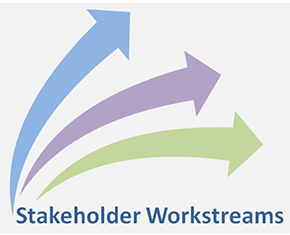 Stakeholder workstreams image