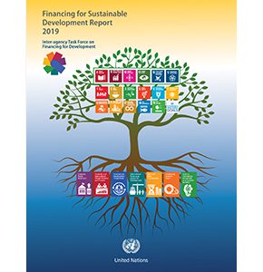 Highlights of the 2019 Financing for Sustainable Development Report