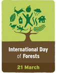essay on international day of forest