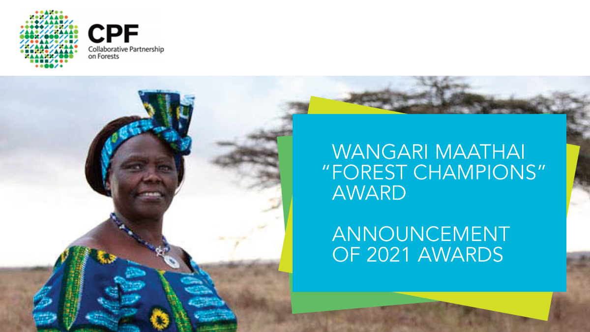 Wangari Maathai – Facts 