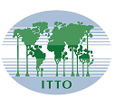 COP 26 | ITTO–IPB–FFPRI event | Prevention of forest fires in the tropics: lessons from Indonesia and Peru