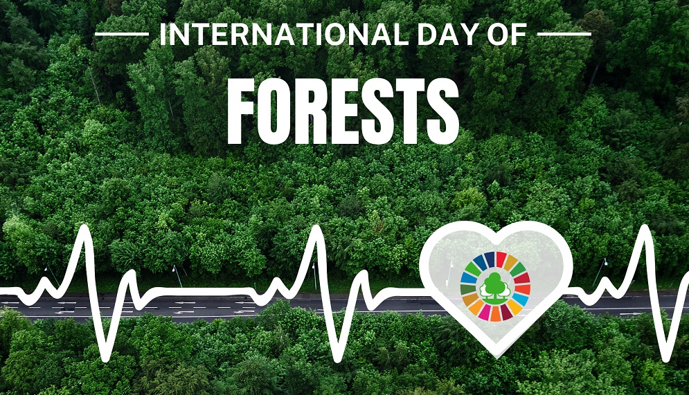 International Day of Forests 2023 - UNESCO World Heritage Centre