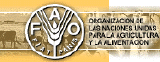 United Nations Food and Agriculture Organization - Regional Office for Latin America and the Caribbean