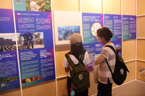 UNDRR exhibit