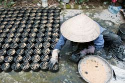 Une femme vietnamienne fait des biomasses