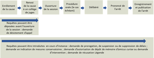 Chart of appeals process, which continues with the judgment phase.