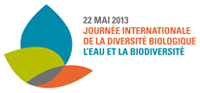 Logo de la Journée internationale de la  diversité biologique