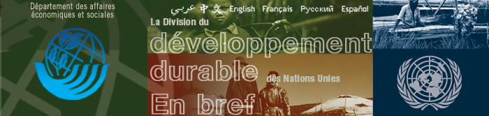 La division du développement durable des Nations Unies en bref