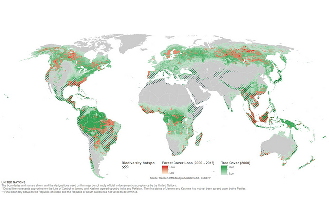 Thematic areas | Geospatial, location data for a better world