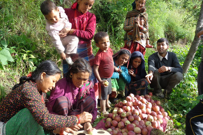A group of women sit around a large pile of pink apples. There are trees and forest behind them. There is a man sitting next to the group of women who is pointing at the pile of apples.