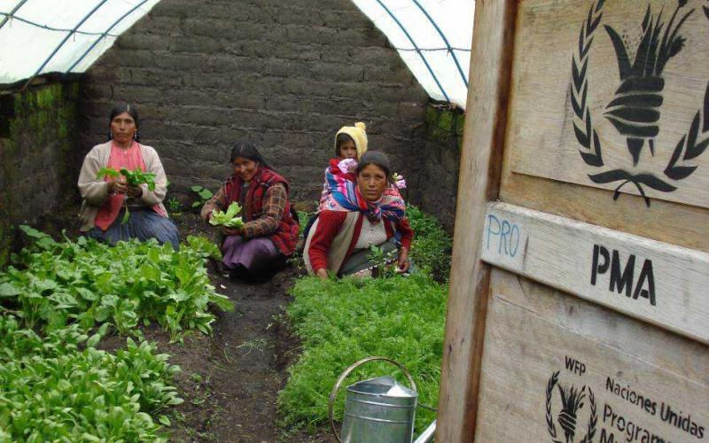 Three women plant vegetables in a garden. One woman is carrying a young child on her back. There is a watering can at the forefront of the image.