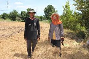 A man and woman walk through a barren field full of hay and grass. The field is surrounded by trees and a powerline.