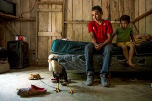 A young boy and a child sit on a bed in a wooden house. There is an eagle on the floor, and two pairs of shoes.