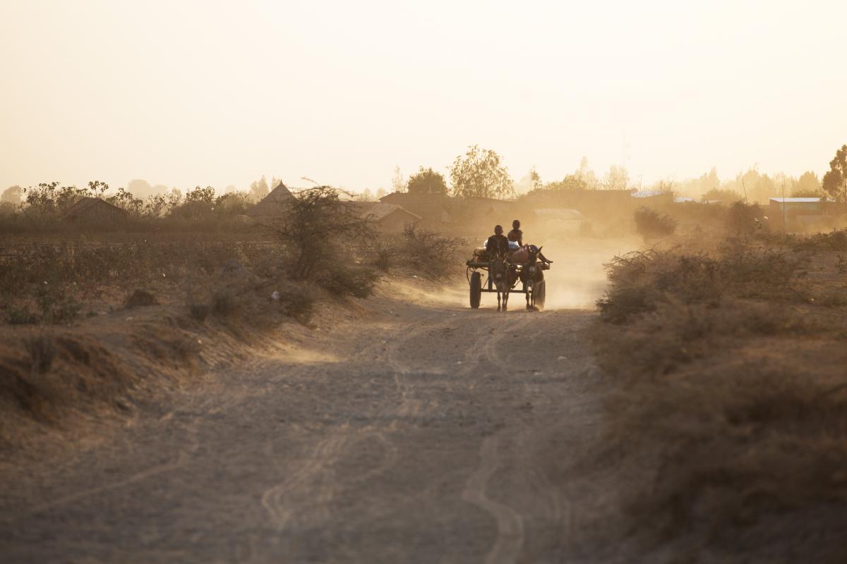Ethiopia: Two boys (11 years old) are sitting on a cart pulled by a donkey.